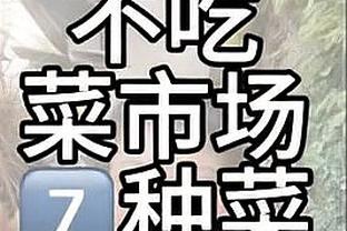 shogun total war 1 download full game free Ảnh chụp màn hình 0